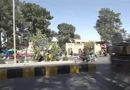 bet365_抢救脊骨脊柱骨折的伤员时应怎么样